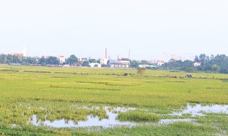 Bắc Ninh quy định mức hỗ trợ sản xuất nông nghiệp bị thiệt hại do thiên tai, dịch hại